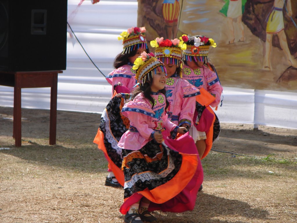 dsc05203.jpg