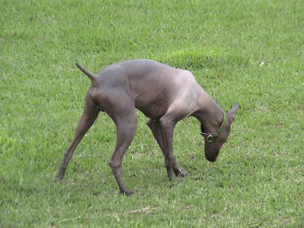 photo48.jpg