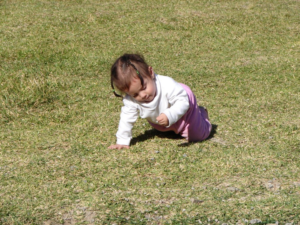 photo50.jpg